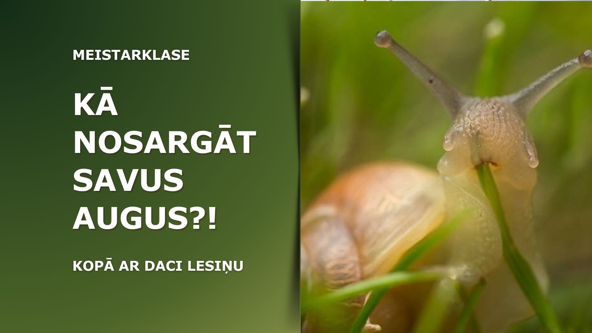 Ventspils tehnikums aicina uz nodarbību dārzkopjiem “Kā nosargāt savus augus”